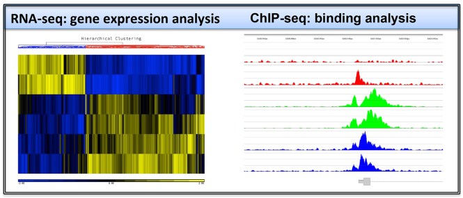 tothgenomicsmethods